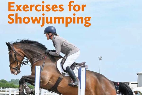Why I wrote 100 Exercises for Showjumping