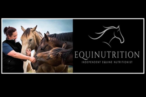 Winter Friend or Foe?