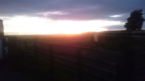 Suspension of Coaching due to...