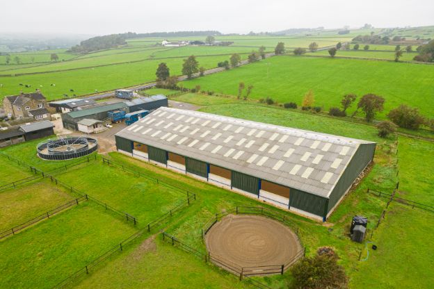 Sarah Tubbs Showjumping