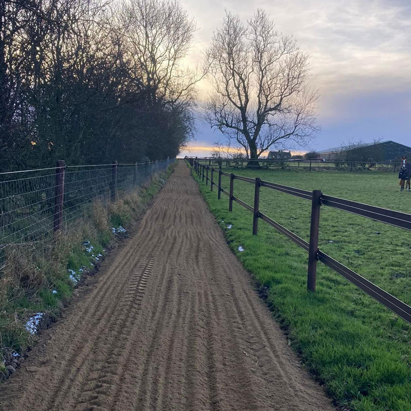 Sun shining on the hacking track
